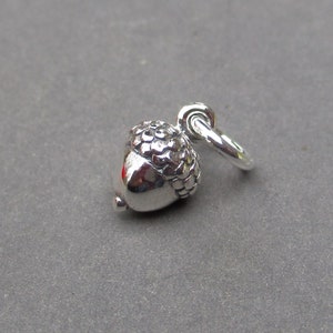 May include: A small, shiny silver-toned metal charm shaped like an acorn. The charm features a textured, bumpy cap and a smooth, rounded nut body. A circular jump ring is attached to the top of the acorn, allowing it to be suspended from a chain.
