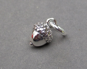 May include: A small, shiny silver-toned metal charm shaped like an acorn. The charm features a textured, bumpy cap and a smooth, rounded nut body. A circular jump ring is attached to the top of the acorn, allowing it to be suspended from a chain.