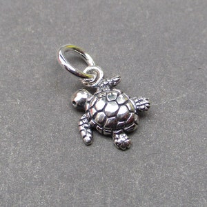 May include: A small, detailed silver turtle charm with a loop for attaching to a necklace or bracelet. The turtle has a textured shell and visible flippers and head. The charm is displayed against a gray background.