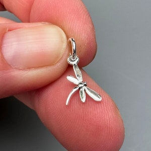May include: A small, silver dragonfly charm with delicate wings and a loop for attaching to a necklace or bracelet. The charm is highly detailed and has a polished finish, reflecting light. The dragonfly is a symbol of transformation and new beginnings.