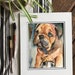 see more listings in the Original Dog and Cat section