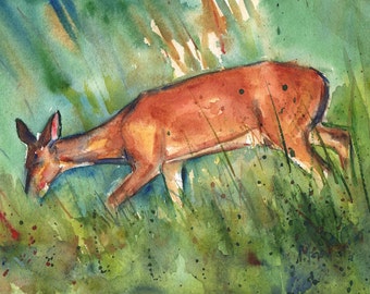 Twilight, Deer on the Sand Dunes, Hilton Head Island in watercolor