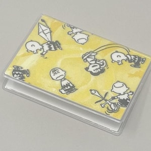 Card Case Mini Wallet Peanuts Charlie Brown