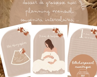 Customizable PDF pregnancy file [single fertility pregnancy planning binder, pregnancy diary, pregnancy appointment file]