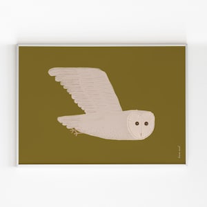 Barbagianni, Arte da appartamento, Amante della natura, Arte murale, Arte eccentrica, Stampa di uccelli, Arte per bambini, Fauna selvatica britannica, Stampa di gufi