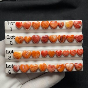 Könnte beinhalten: Eine Sammlung von herzförmigen Spiny-Oyster-Cabochons, die in vier Reihen auf einem weißen Displayständer angeordnet sind. Jede Reihe ist mit Lot 1, Lot 2, Lot 3 und Lot 4 beschriftet. Die Steine zeigen abwechslungsreiche orange, rote und weiße Muster.