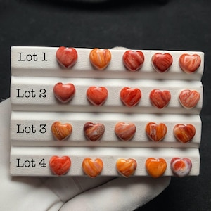 Könnte beinhalten: Ein weißer Präsentationsständer mit vier Reihen, beschriftet von Lot 1 bis Lot 4, mit jeweils fünf kleinen herzförmigen Steinen. Die Steine zeigen verschiedene Orange-, Rot- und Weißtöne mit marmorierten Mustern und glatten, polierten Oberflächen.