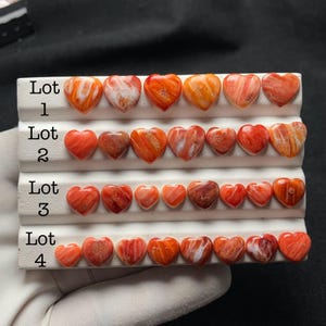 Könnte beinhalten: Ein weißer Präsentationsständer mit fünfundzwanzig kleinen herzförmigen Steinen in Orange-, Rot- und Weißtönen. Die Steine sind in vier Reihen angeordnet, die mit Lot 1, Lot 2, Lot 3 und Lot 4 beschriftet sind und verschiedene Marmorierungen zeigen.