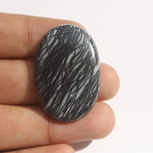 Könnte beinhalten: Ein ovaler Cabochon-Edelstein mit einer polierten Oberfläche, die ein ausgeprägtes Muster aus dünnen, sich kreuzenden schwarzen Linien auf hellgrauem Grund aufweist. Der Stein hat einen glatten, abgerundeten Rand und eine glänzende Oberfläche.