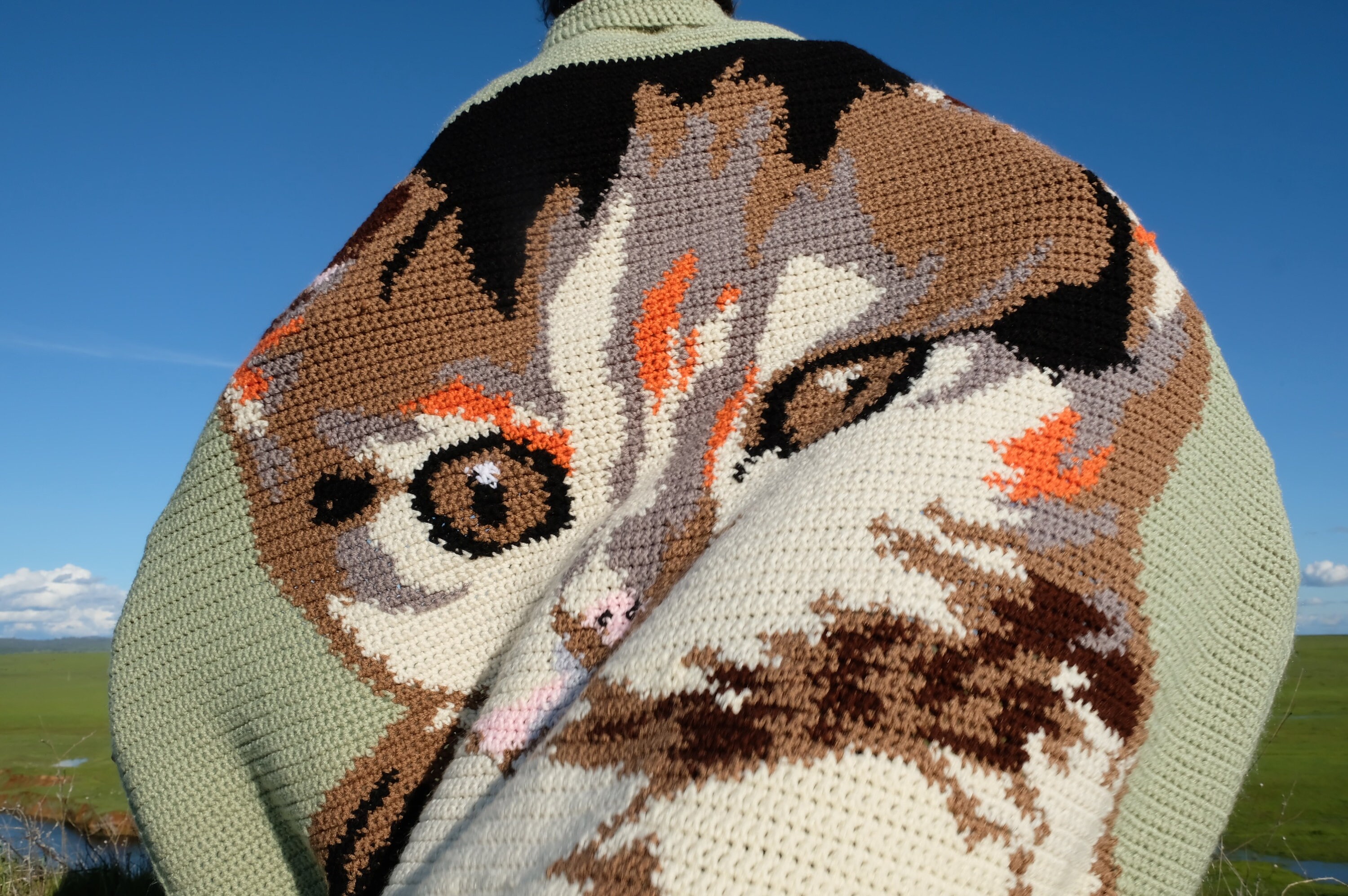 Crochet Cape Kitten Supergraphic Cat Cape