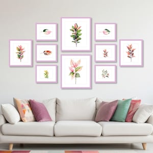 Pode incluir: Uma coleção de impressões de arte botânica emolduradas em vários tamanhos, apresentando ilustrações em aquarela de folhas e plantas em tons de verde, rosa e vermelho. As molduras são de uma cor lavanda suave, criando uma parede de galeria coesa.