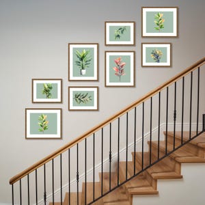 May include: A collection of eight framed botanical prints with watercolor illustrations of leaves and plants. The prints are in wooden frames and arranged on a light green background. The artwork is displayed on a wall near a staircase with a wooden handrail.