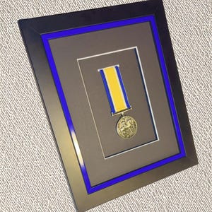 Puede incluir: Medalla enmarcada con un medallón dorado y una cinta amarilla y azul. La medalla se exhibe en un marco negro con un borde azul, sobre un fondo neutro. El marco tiene un efecto de doble paspartú.