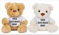 Bear In A T-Shirt - Plain or Personalised with your text or image - Teddy Bears