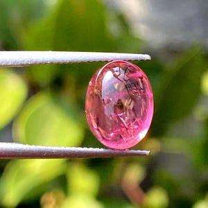 Könnte beinhalten: Ein polierter, ovalförmiger rosa Edelstein, der von einer silbernen Pinzette gehalten wird. Der Edelstein hat ein durchscheinendes Aussehen mit inneren Einschlüssen und befindet sich vor einem verschwommenen grünen Hintergrund. Der Edelstein ist etwa 1,9 cm lang.