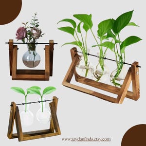 Hydroponische Glasvermehrungsvase mit Holzständer | Moderne Pflanzen Dekoration | Minimalistischer dekorativer Blumenhalter