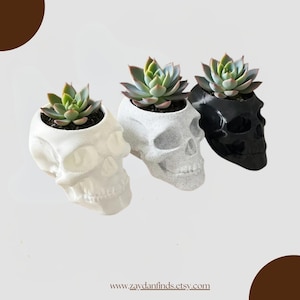 3D gedruckter Schädel Planter | Gothic Wohnkultur | Sukkulenten Pflanzentopf | Einzigartige Halloween Dekoration