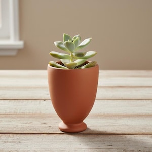 Handgemaakte terracotta succulente pot | Kleiplanter voor bureau- en raamplanten binnen