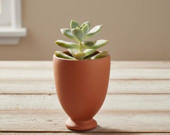 Handmade Terracotta Succulent Pot | Clay Planter for Indoor Desk and Window Plants