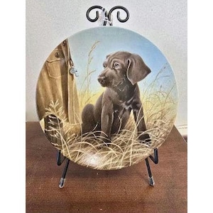 1989 Knowles Command Performance Weimaraner Puppy Collector Plate de Lynn Kaatz