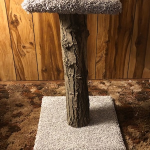 Natural Pedestal