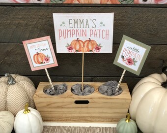 Pumpkin Patch Centerpiece Signs-- Watercolor --- Our Little Pumpkin ---  by Beth Kruse Custom Creations