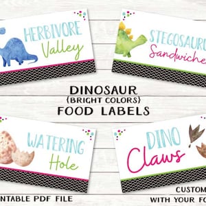 Etiquetas de comida con forma de dinosaurio - Archivos PDF personalizados e imprimibles - Fiesta de dinosaurios a todo color - por Beth Kruse CC