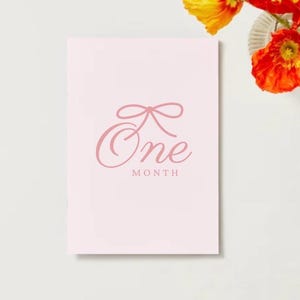 Cartes d'étape roses pour bébé fille | Accessoires photo mensuels avec noeuds | Ensemble d'étapes imprimables rose poudré pour le nouveau-né à 1 an