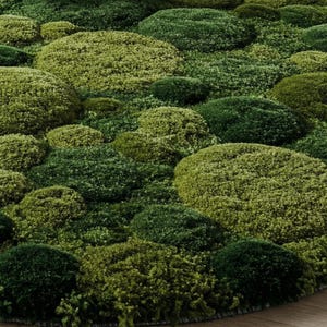 3D Moss Rug – Forest Floor Area Rug – 8x10 Hand Tufted New Zealand Wool Nature Inspired Green Carpet – Arons Rugs