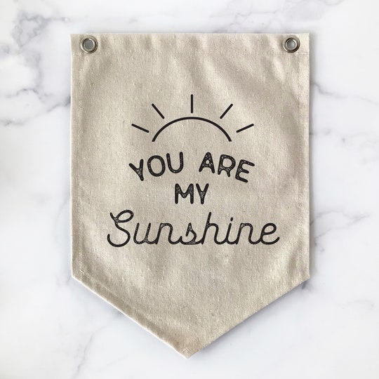 Disover Nursery Wall Decor, You Are My Sunshine Sign, Hanging Pennant Flag Wall Art Banner, Kids Room Decor