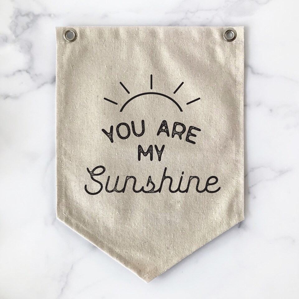 Discover Nursery Wall Decor, You Are My Sunshine Sign, Hanging Pennant Flag Wall Art Banner, Kids Room Decor