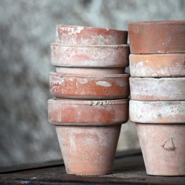 Vintage "Terra Cotta" Garden Pots - Fine Art Photograph - Home Decor Spring Summer Gardening- Featured on the FRONT PAGE