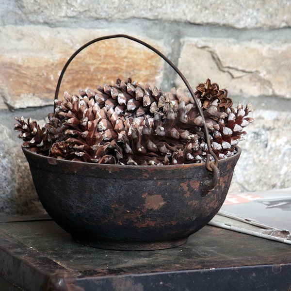 Real Pinecones - One Dozen, 12 Medium Natural Gathered CT Pinecones - Nature Home Decor Harvest Rustic Centerpiece Holiday Thanksgiving