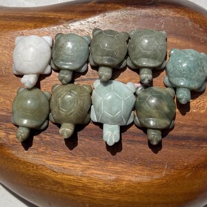 May include: A collection of nine carved stone turtle figurines in various shades of green and white. The turtles are arranged on a wooden surface, showcasing their detailed shell patterns and small, stubby legs. The figurines vary in color, from pale green to a darker, mottled green.