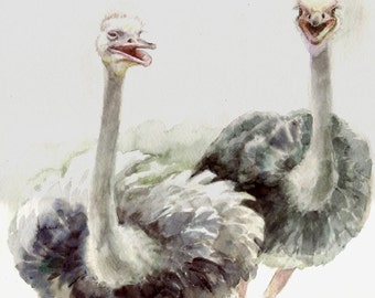 Ostrichs -print from original watercolor painting, Holiday present / birthday present / art collection