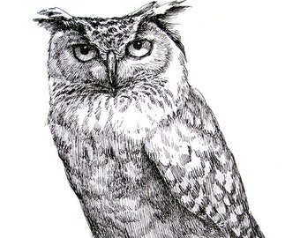 An Owl 11x8.5 pen drawing print from original,  holiday present / birthday present or vavious cards