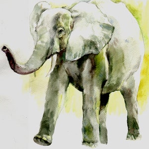 Elefant -Druck von Original Aquarellmalerei, Urlaubsgeschenk / Geburtstagsgeschenk / Kunstsammlung