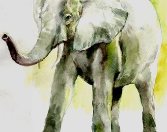 Elephant -print from original watercolor painting, Holiday present / birthday present / art collection
