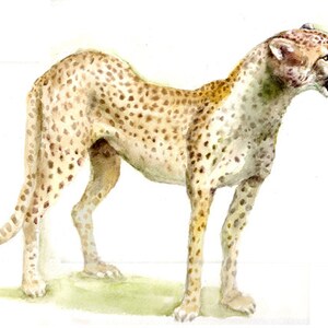 Gepard -Druck von original Aquarellmalerei, Urlaubsgeschenk / Geburtstagsgeschenk / Kunstsammlung