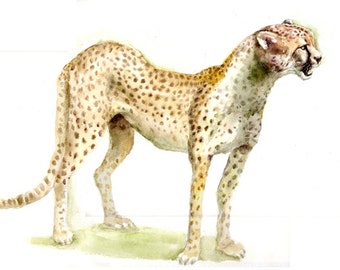 Cheetah -print from original watercolor painting, Holiday present / birthday present / art collection