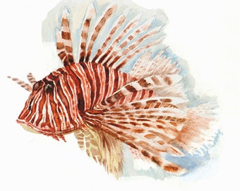 A Lion Fish -print from original watercolor painting, Holiday present / birthday present / art collection