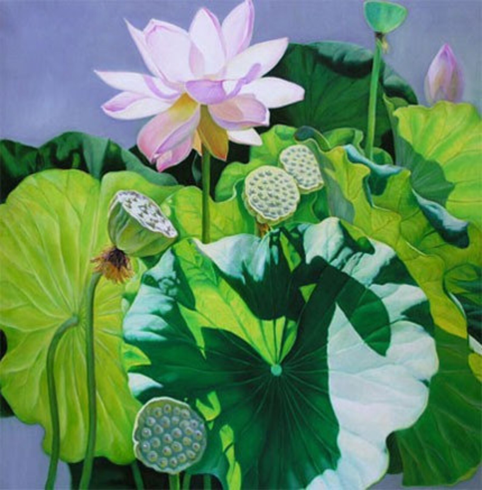 Warm Sunlight 30x30 Lotus Flower Oil Painting Holiday Gift. Etsy