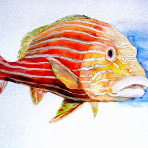 Der rote Fisch -Druck von original Aquarellmalerei, Urlaubsgeschenk / Geburtstagsgeschenk / Kunstsammlung
