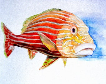 The Red Fish -print from original watercolor painting, Holiday present / birthday present / art collection