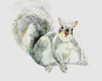 Squirrel -print from original watercolor painting, Holiday present / birthday present / art collection