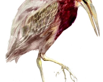 Green Heron -print from original watercolor painting, Holiday present / birthday present / art collection