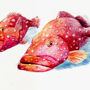 Zwei Fische -Druck nach Original Aquarellmalerei, Urlaubsgeschenk / Geburtstagsgeschenk / Kunstsammlung