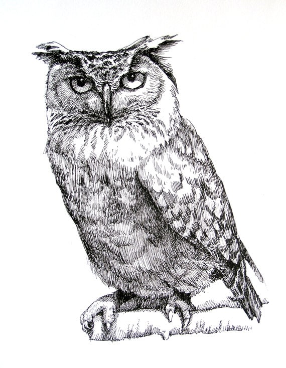 An Owl 11x85 pen drawing print from original holiday Etsy