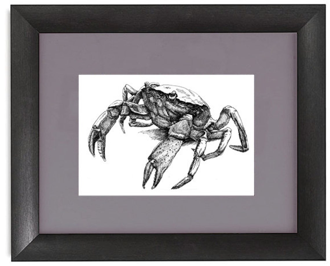 Walking Crab 11x8.5 Pen Drawing Print From Original Holiday Etsy