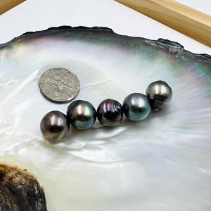 Lot of 5 : Tahitian Black Pearls Genuine Authentic Natural Loose undrilled pearls for custom jewelry making